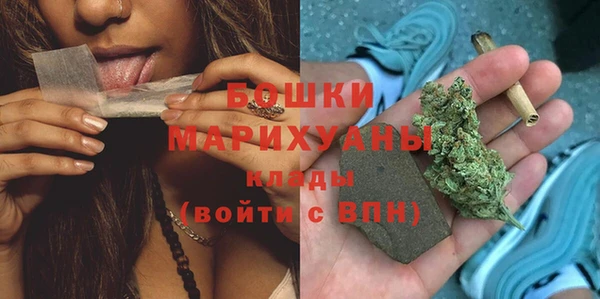 амф Протвино