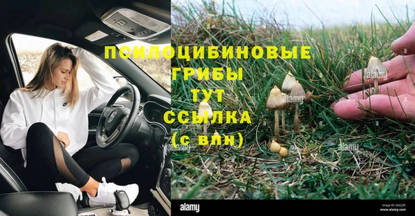 мяу мяу кристалл Пролетарск