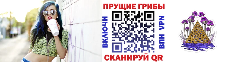 Галлюциногенные грибы прущие грибы  Купить закладки  Похвистнево 